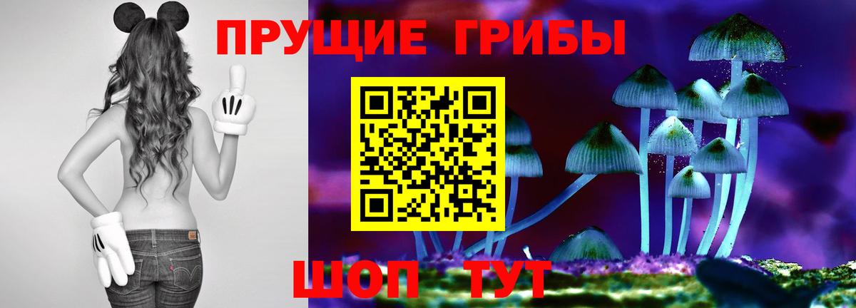 Галлюциногенные грибы Psilocybine cubensis  Вход с VPN  Псилоцибиновые грибы Cubensis  Железноводск 